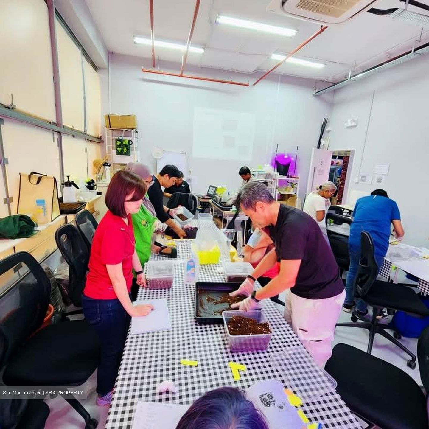 Excalibur Centre (D14), Factory #626956641